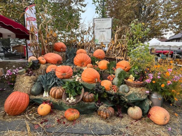 560634253_885884420786432_9070179109430500718_n