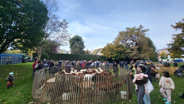 574022140_889386503769557_3188358639239761074_n